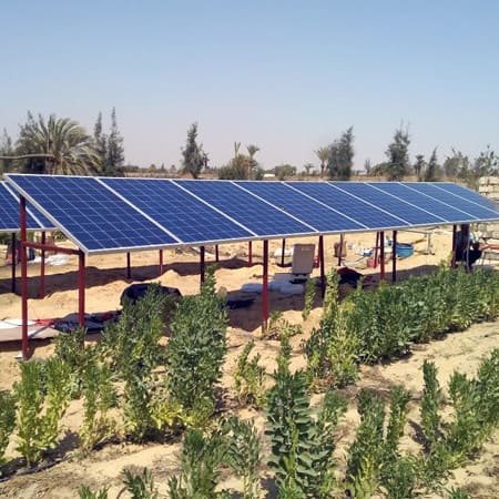 المضخة الشمسية vfd تعمل في المزرعة