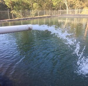 Solar Water Pump Buyer’s Guide