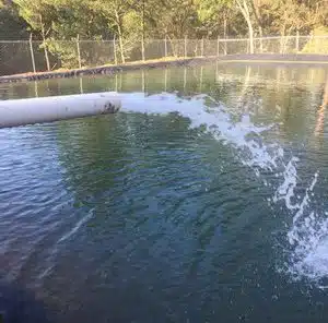 Guía del comprador de bombas de agua solares